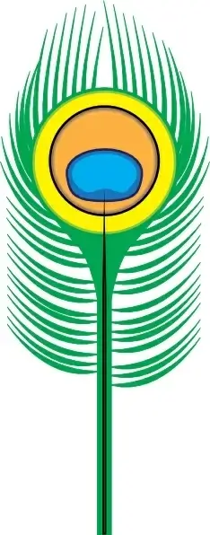 Peacock Feather clip art