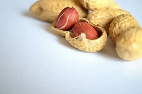 peanut nuts