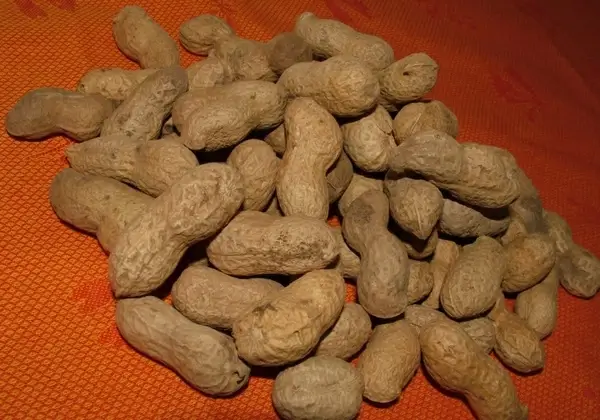 peanuts