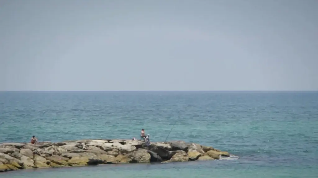 people relaxing on rocky calm sea