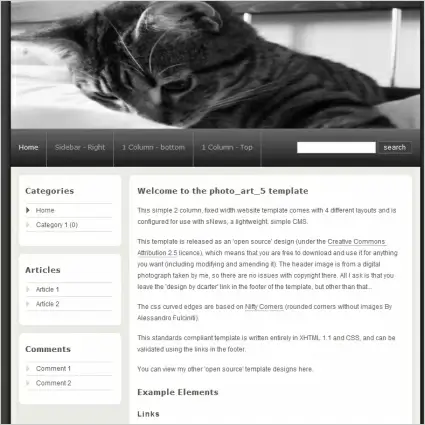 Photo Art 5 Template