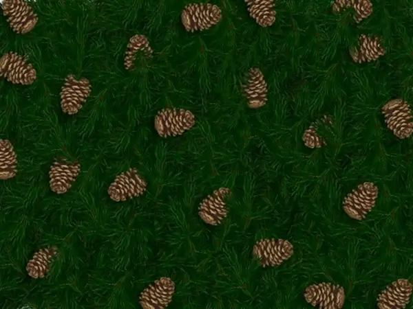 pine cone background