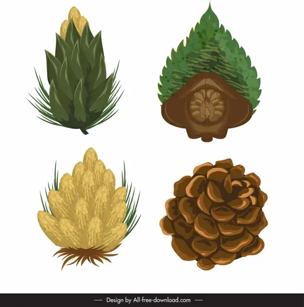 pine cone icons colored classic design