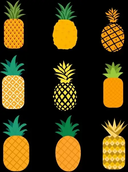 pineapple icons collection colorful flat shapes