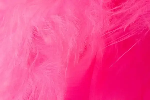 pink feather