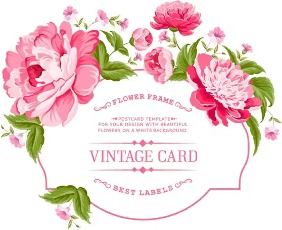 pink peony frame vintage card vector