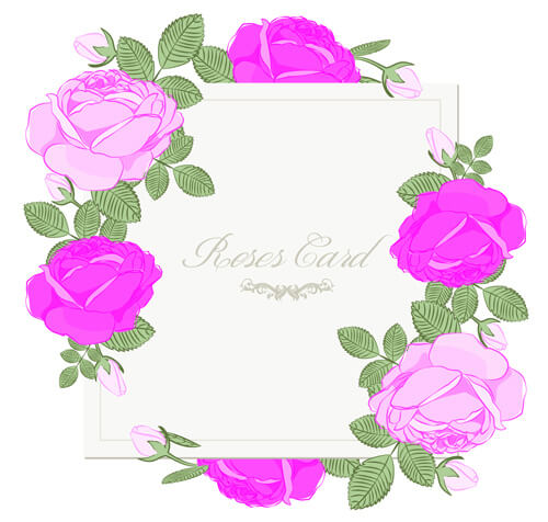 pink rose with card vector design graphic