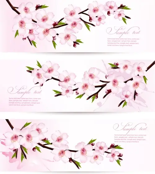 pink sakura banner vector