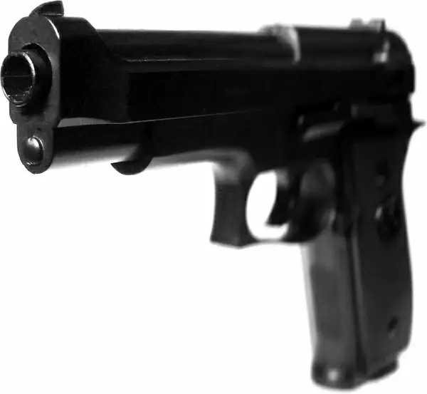 pistol