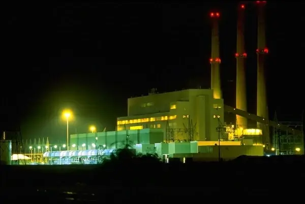 plant fossil fuel energy