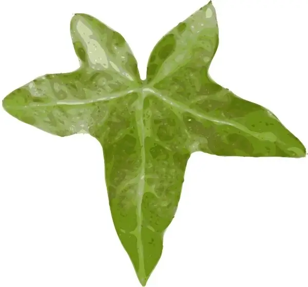 Plant Leaf clip art