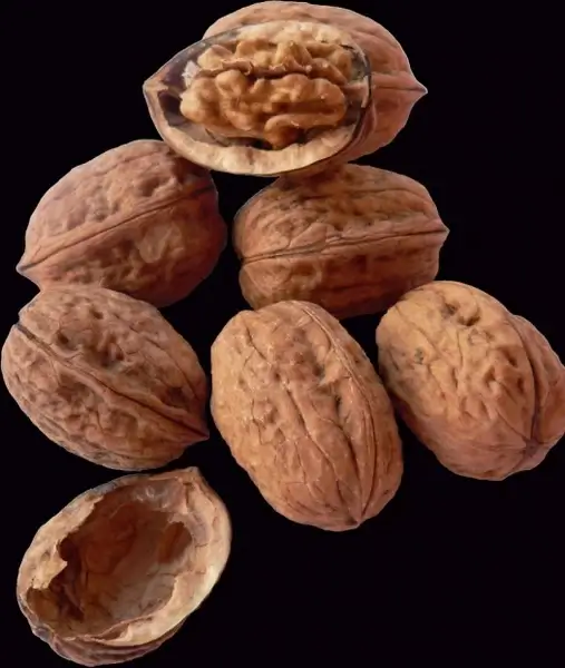 plants nuts walnuts