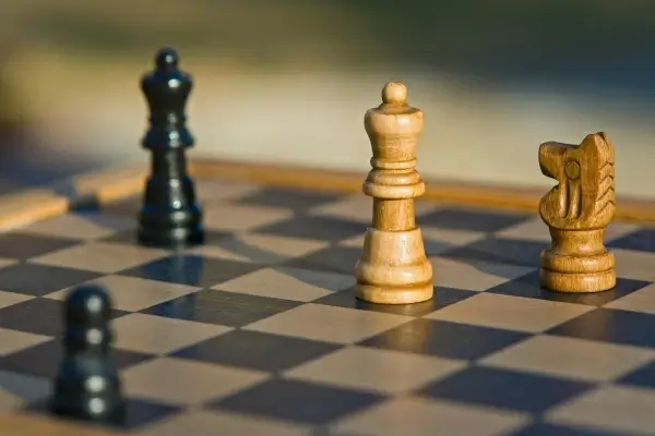 playing wooden chess pieces
