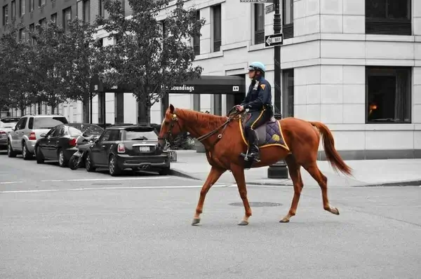 policeman