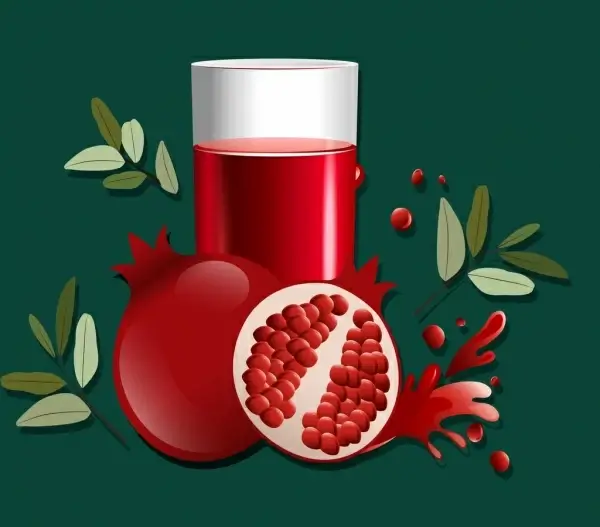 pomegranate advertising red fruit glass leaf icons
