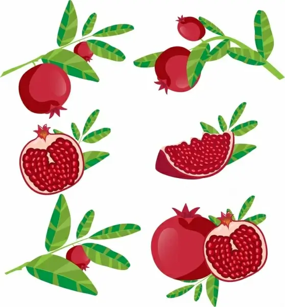 pomegranate background fruit icons various shapes isolation