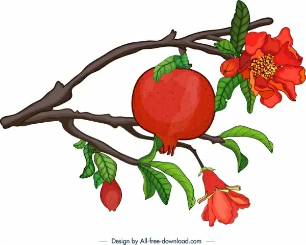 pomegranate branch icon classical multicolored design