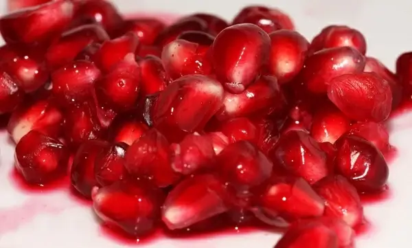 pomegranate grenadine punica granatum