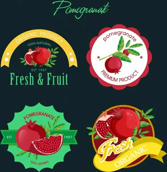 pomegranate logotypes various colored shapes isolation