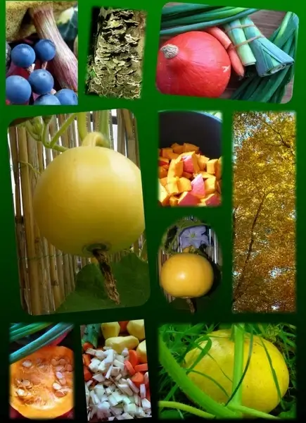 poster pumpkin autumn