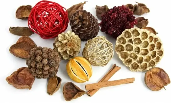 pot pourri