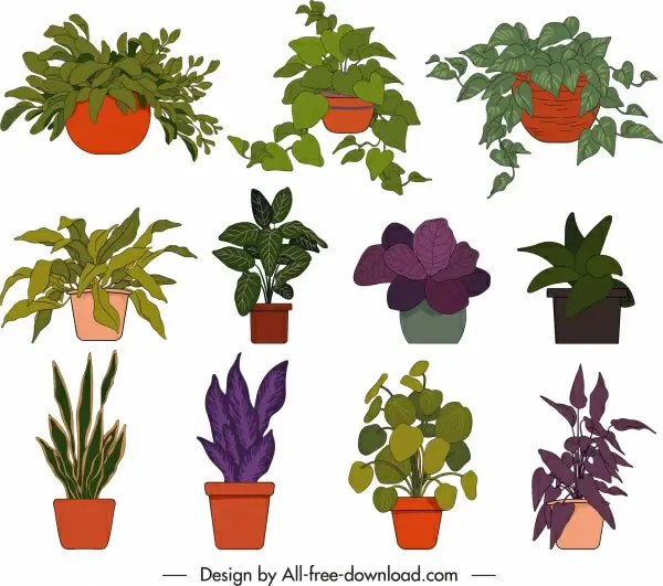 potted houseplant icons colorful flat classic handdrawn