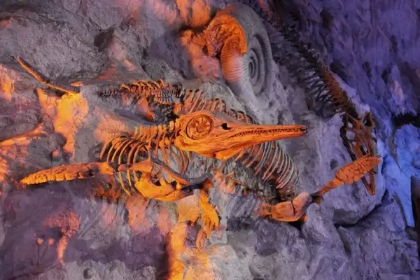 prehistoric fossils
