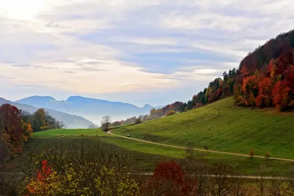 pretty landscape