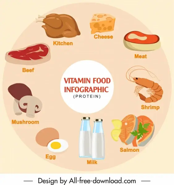 protein food infographic banner colored classic circle layout