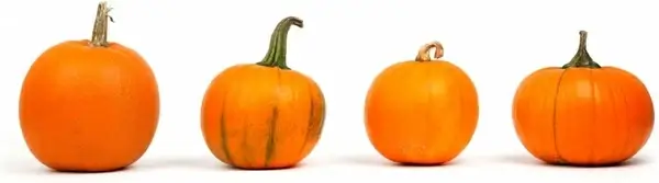 pumpkins in a row