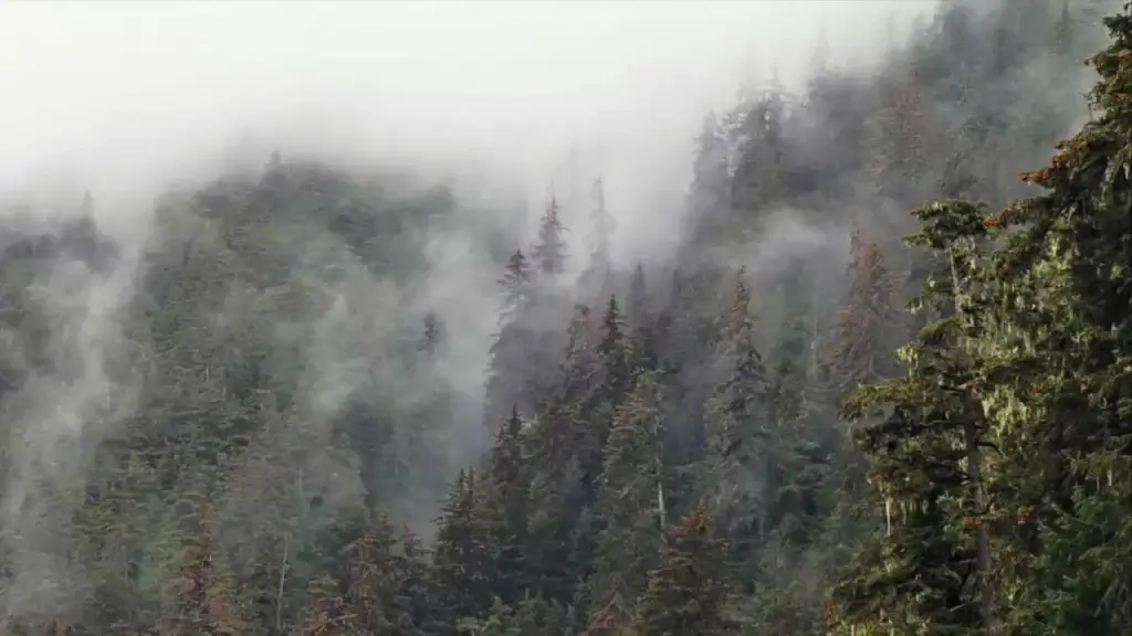 quick clip of mist vaporing on wild mountain