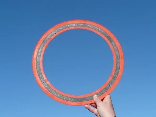 quoi frisbee disc