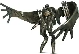 Raging raven