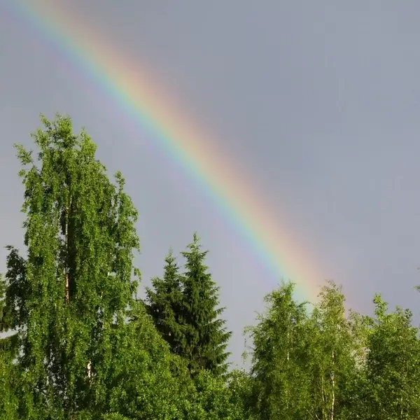 rainbow natural phenomenon refraction of light