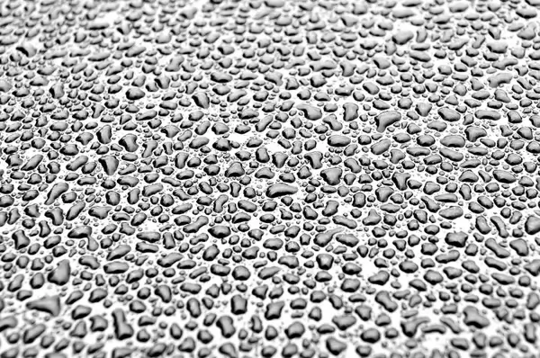 raindrops