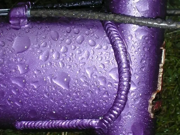 raindrops on mauve 2