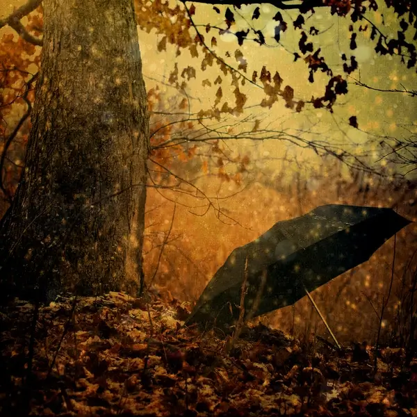 rainy day people