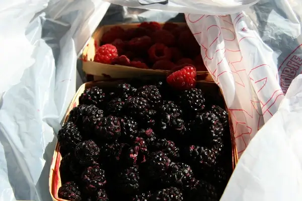raspberries black and red
