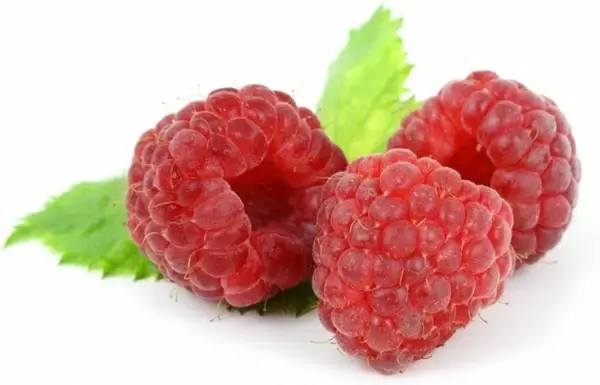 raspberry