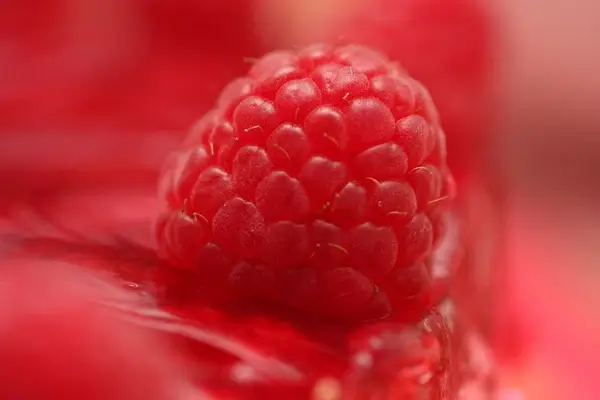 raspberry