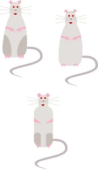 Rat clip art