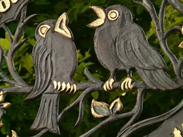raven bird golden