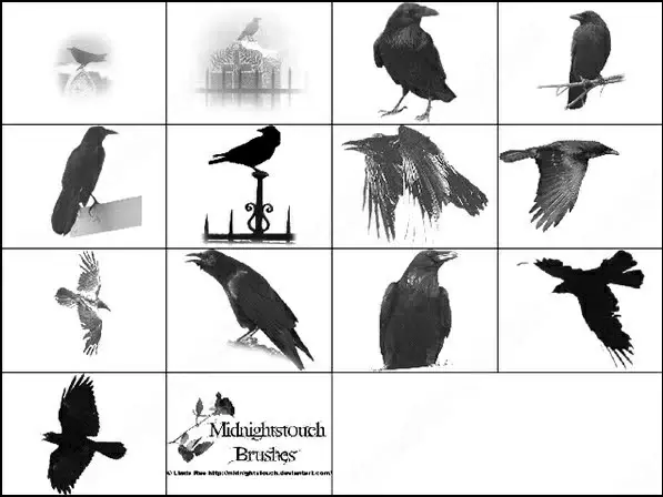 raven ps 7 brush