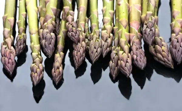 raw asparagus