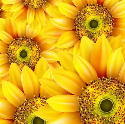 realistic sunflowers vector seamless pattern