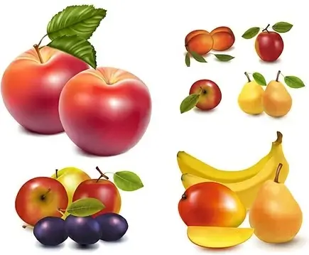 fresh fruit icons collection colored shiny realistic style