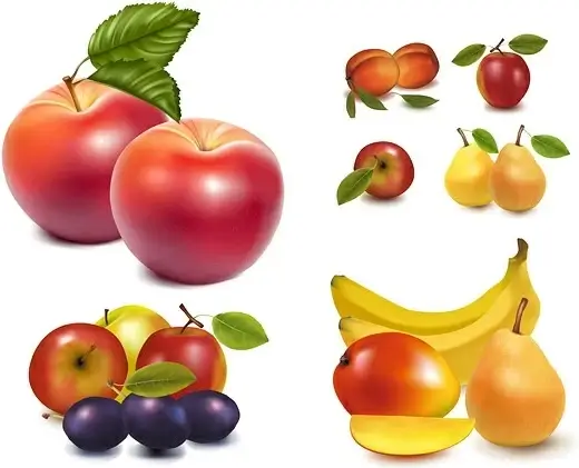 realistic vector fruits