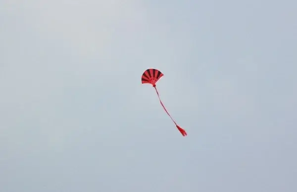 red and black kite