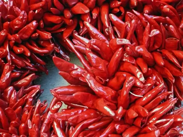 red dried hot