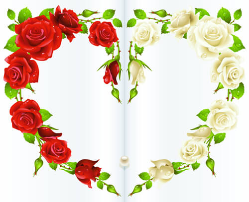red rose and white rose heart background vector